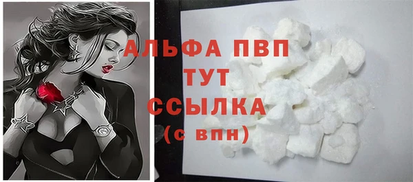 гидра Елабуга