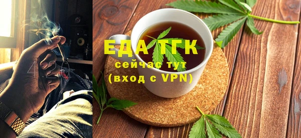 гидра Елабуга
