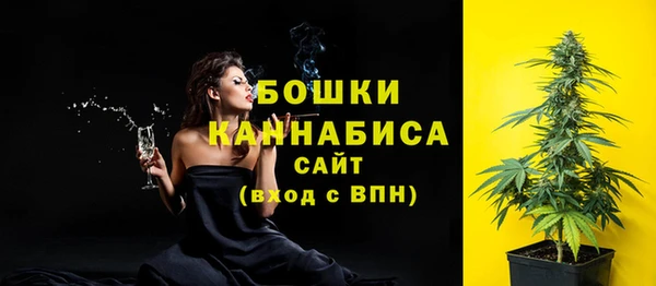 метадон Елизово