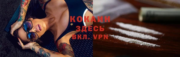 гидра Елабуга