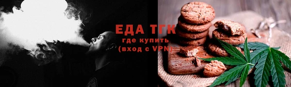 гидра Елабуга