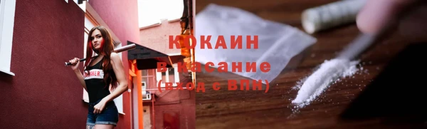 гидра Елабуга