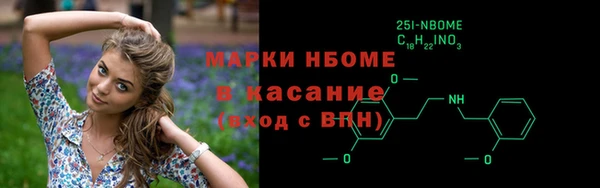 гидра Елабуга