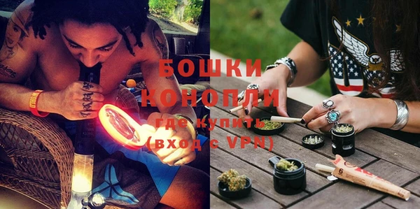 гидра Елабуга