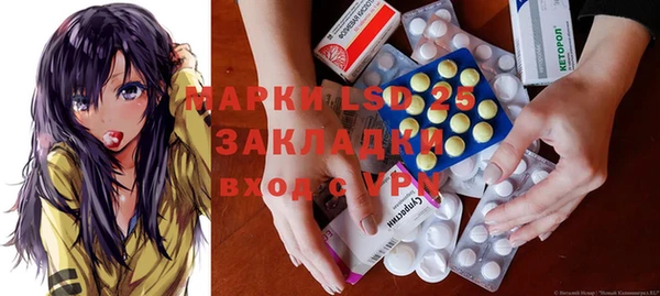 гидра Елабуга