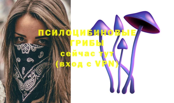 гидра Елабуга
